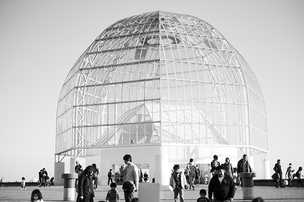 Tokyo Sea Life Aquarium.